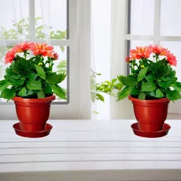 Virajsanchi 4-Pcs Brown Round Light Weight Planters image 5