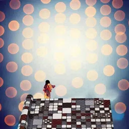 Mopak Decor Black Set of 1 Regular Shelf Liner Organisers image 3