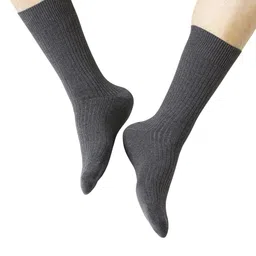 SocksXpress Men Pack Of 3 Calf-Length Socks image 4