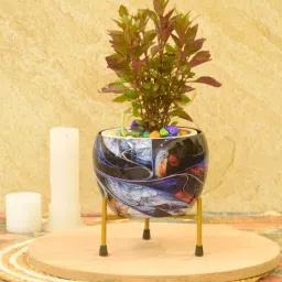 sone key chidiya Piper Iron Multicolour Desk Pot-picture-12