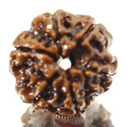 RAVIOUR LIFESTYLE Girls Brown Stainless Steel Jewellery Set-picture-28