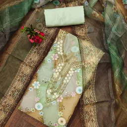 Rangtulika Ethnics Embroidered Organza Unstitched Dress Material-image-53