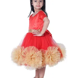 Wish little Girls Net Fit and Flare Dress With Belt image 4