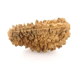 RAVIOUR LIFESTYLE Girls Silver Pendant-image-76