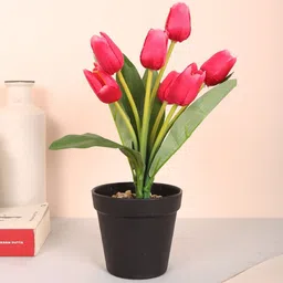 Home Bloom Pink 1 Pieces Artificial Flower With Pot-picture-47