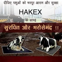 hakex COW MAT-Waterproof Rubber(Mat 8*5 Feet)BPA Free For Horse-AA | Cow, Dog, Hamster, Guinea Pig, Miniature Pig Pet Mat-picture-37