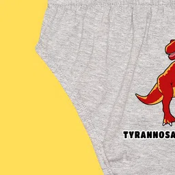 NUSYL Pack Of 4 Printed Cotton Basic Briefs NUBCBRFPO4.0039 image 2