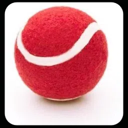 New-Tennis ball _381Pack of 6 Tennis Ball-image-37