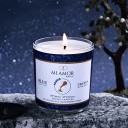 MI AMOR PARIS White Lavender Fragrance Aquarius Jar Candle-picture-14