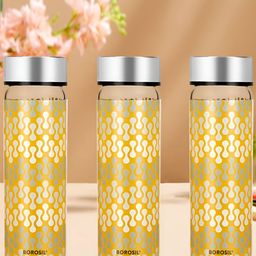BOROSIL Artisan Transparent & Silver-Toned 3 Pieces Glass Printed Water Bottle 550 ml-picture-26
