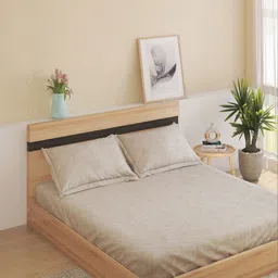 Home Centre Beige Floral 144 TC King Bedsheet with 2 Pillow Covers-picture-26