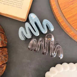 Radhya Accessories Women Set of 2 Claw Clip image 2