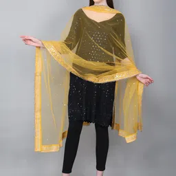 Karthav Fashion Embroidered Dupatta with Sequinned image 4