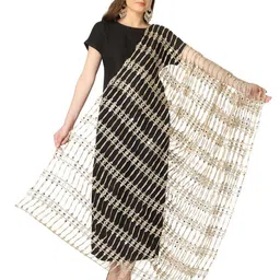 A R SILK DUPATTA HUB Embroidered Dupatta with Mirror Work-picture-19