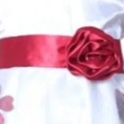 Wish little Cape Sleeve Net A-Line Dress image 2