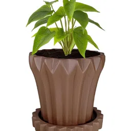 LASAKI Flory Brown Ceramic Handmade Planter With Plate-picture-22