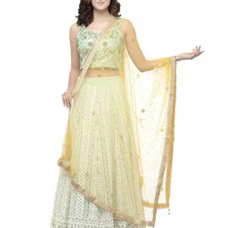 A R SILK DUPATTA HUB Embroidered Beads And Stones Net Dupatta-picture-10