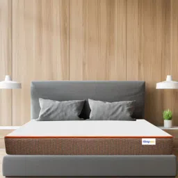 sleepmax Comfortino 5 Inch Rebonded Foam Mattress In Single Size (With 1 Free Pillow)-picture-23
