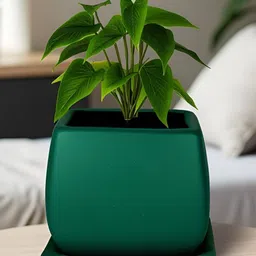 LASAKI Nebi Green Ceramic Handmade Planter With Plate-picture-19