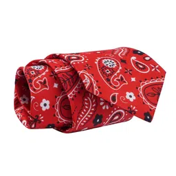 CALIXTO Men Printed Ascot Tie image 4