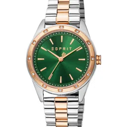 ESPRIT Women Dial & Stainless Steel Straps Analogue Watch ES1L349M0065-image-80