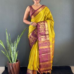 Pandadi Saree Woven Design Zari Saree-picture-34