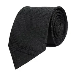 CALIXTO Men Pack Of 2 Woven Design Broad Tie image 2