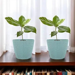 GARDEN'S NEED Sea Green 2 Pieces Textured Planters image 3