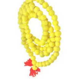 RAVIOUR LIFESTYLE Synthetic Necklace-picture-25