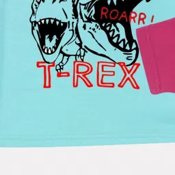 Billion Boys 2 Printed Bio Finish Pockets T-shirt image 3