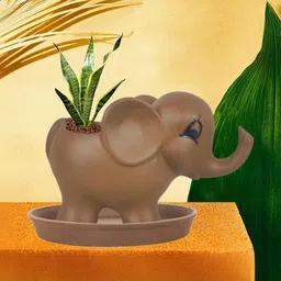 LASAKI Brown Ceramic Planter With Plate image 5