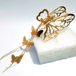 Watch junction Women Claw Clip-picture-34