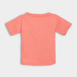 MiArcus Kids Pack of 3 Cotton Half Sleeves Printed & Solid T-Shirts image 4