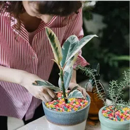 wegrow MULTICOLOUR PEBBLES1kg Engraved Asymmetrical Rock Pebbles image 2