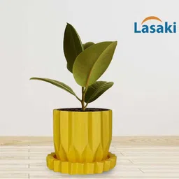 LASAKI Yellow Ceramic Planter With Plate image 5