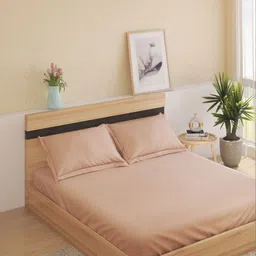Home Centre Peach-Coloured 300 TC King Bedsheet with 2 Pillow Covers-image-89