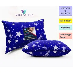 VILLAGERS Set of 2 Blue Polyester Pillows-picture-41
