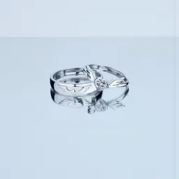 Teeragaj Set Of 2 Stone-Studded Couple Adjustable Finger Rings-image-21