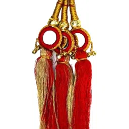 HAVEREAM Embellished Parranda Hair Accessory image 3