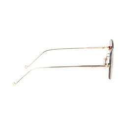 Ted Smith Unisex Brown Lens & Gold-Toned Square Sunglasses with image 4