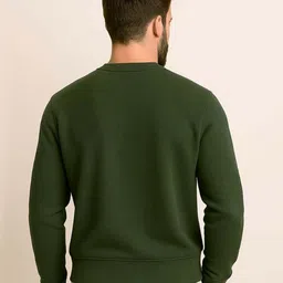 Organic Chics Men DC Printed Round Neck Sweatshirt image 2