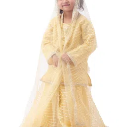 Design My Dress Bharat Embroidered Net Fit & Flare Maxi Dresses image 3