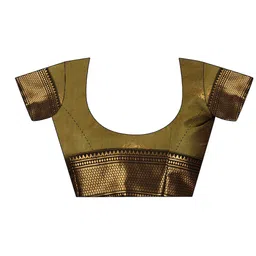 sangria Woven Design Saree With Blouse image 3