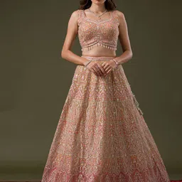 Koskii Embroidered Mirror Work Net Ready to Wear Lehenga & Blouse With Dupatta image 2