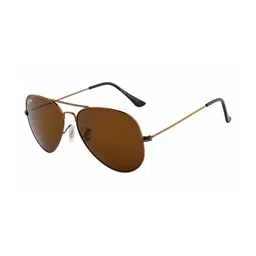 Ted Smith Unisex Brown Lens & Brown Aviator Sunglasses with image 2
