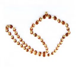 RAVIOUR LIFESTYLE Synthetic Necklace-picture-34