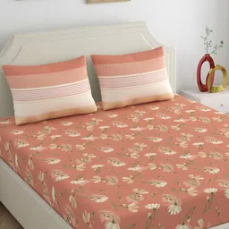 Dreamscape Brown Floral 140 TC King Bedsheet with 2 Pillow Covers-image-16