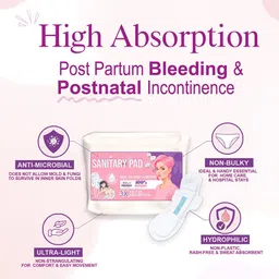 Pregawear 5-Pcs Disposable Panty & 5-Pcs Sanitary Padded Disposal Briefs image 2