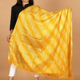 Apratim Printed Dupatta-picture-26