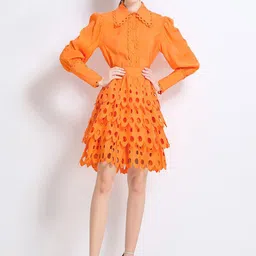 JC Collection Self Designed Shirt Collar Neck Shirt With Skirt-picture-32